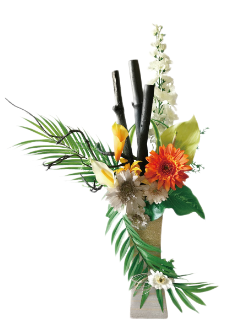 華ひかりの画像