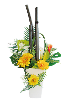 華あかりの画像