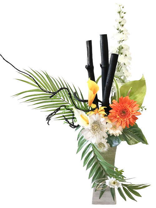 華ひかりの画像